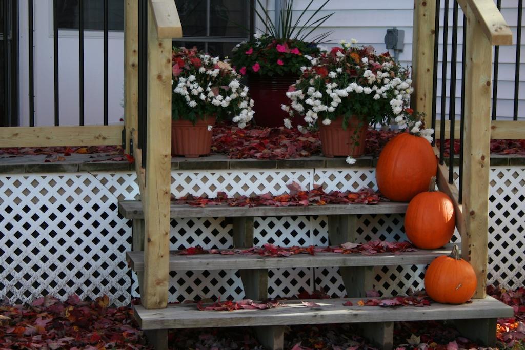 Sandstone Bed And Breakfast New Glasgow Extérieur photo